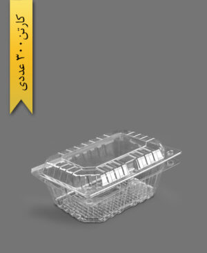 ظرف میوه بزرگ - آذران ورق (کارتن 300 عددی)