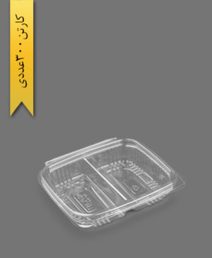 ظرف دلی دوخانه - MG ( کارتن 300 عددی )
