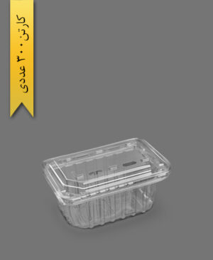 ظرف میوه 750 - آذران ورق (کارتن 300 عددی)
